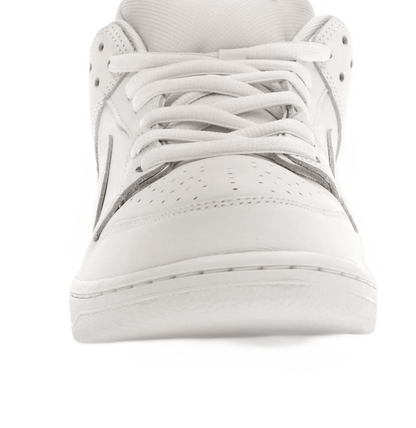 SB Dunk Low Pro Triple White - FJ1674-100